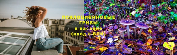 apvp Куйбышев