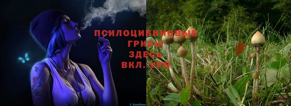 apvp Куйбышев