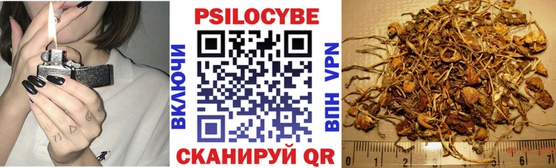 Галлюциногенные грибы Psilocybe  Нововоронеж 