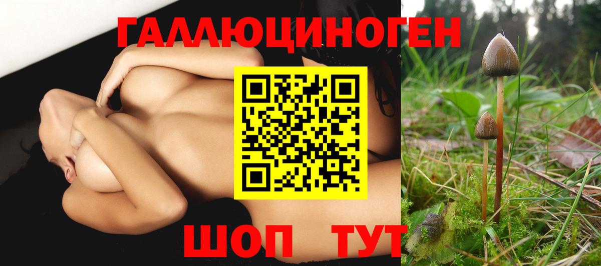 Галлюциногенные грибы GOLDEN TEACHER  Вход с VPN  Нововоронеж 