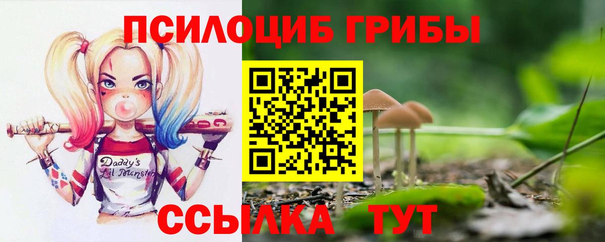 Галлюциногенные грибы Magic Shrooms Нововоронеж